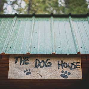 My kind of signage (pets are allowed!)