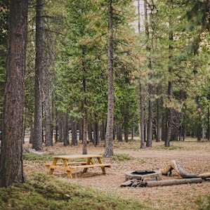 There's a picnic table and fire pit right outside the cabin. Make sure there isn't a fire ban in place while you're there.