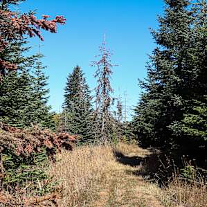 Explore the land - be mindful of wandering wildlife.
