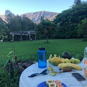 The breakfast view!