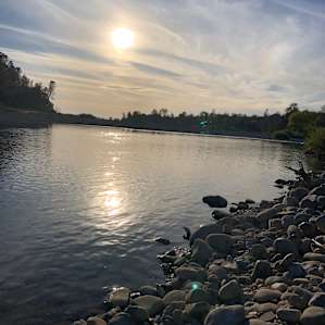 Down by the river