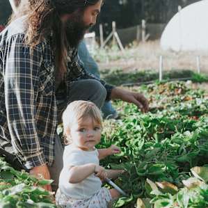 Picking strawberries!!