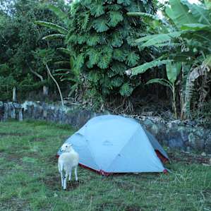 Above Ancient Hawaiian Village