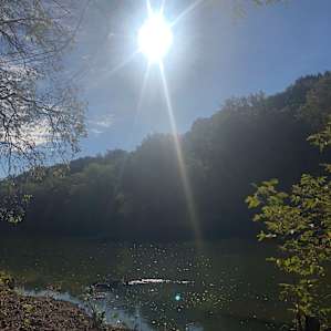 Stunning view right on the shore of our site.