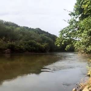 View up the river, right where the bald eagle flew.