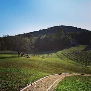 Cobbler Mountain Cellars