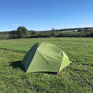 The Heron: Organic Farm & Forests