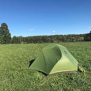 The Heron: Organic Farm & Forests