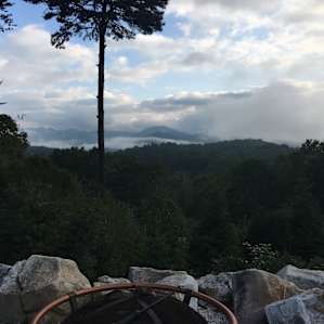 Black Bear Pad RV