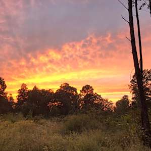 Beautiful Sunset!