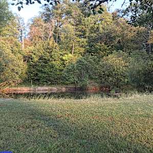 Southern Serenity