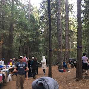 Madrone Tree Hill - Group Site