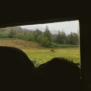 Woke up, and opened the curtain to this view from the loft in the cabin