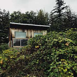 The cabin! So cute and perfect