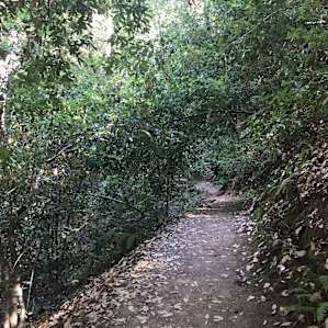 Easy trail down to the ranger station, store, and trailheads.