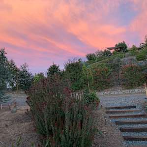 Sunset was spectacular!