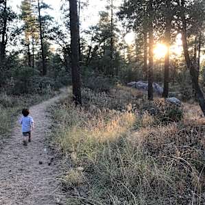 One of the hiking trails.