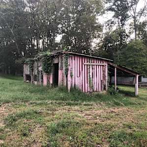 wandering the property through old structures