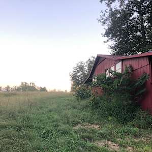 the barn at sunset