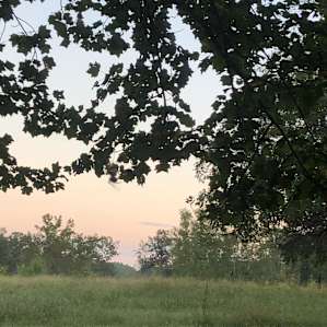 sunset on respite in the round