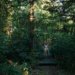 A trail network through the woods of the property
