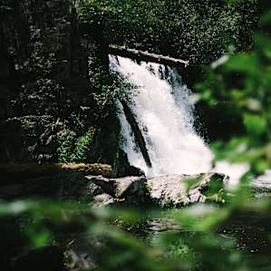 Abrams Falls hike