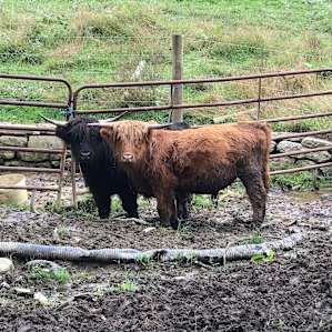Our friendly neighbors