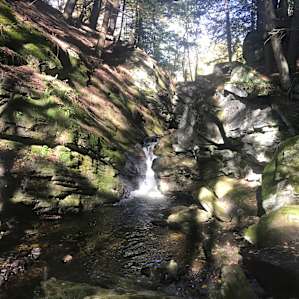 Nearby waterfall trail