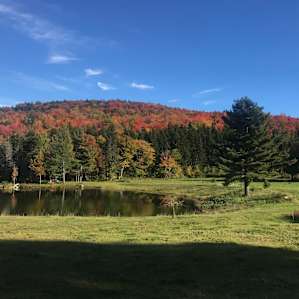 Beautiful drive in