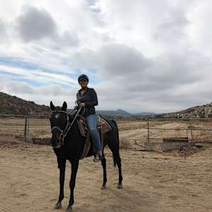 Saddle Up Horse Rescue