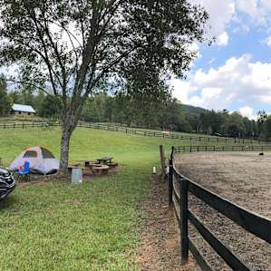Near the Equestrian run.