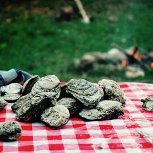 Savage Acres: Camp on Craig Creek