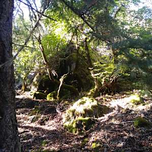 Back of cabin