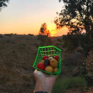 Bought some small potatoes and tomatoes from the farm stand for dinner :)