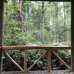 View off the porch.