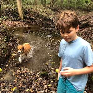 Ponds Edge