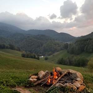 Pasture Paradise