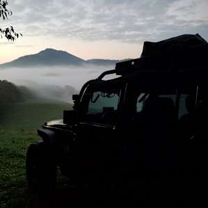 Pasture Paradise