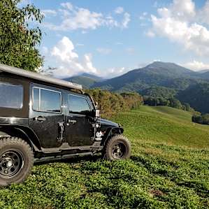 Pasture Paradise