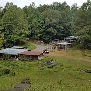 Lakeview Primitive Shelter
