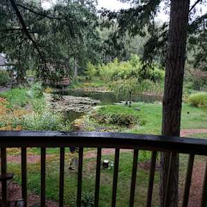 Meadowhawk Sanctuary Treehouse