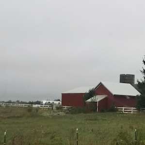 First view of the farm from the road.