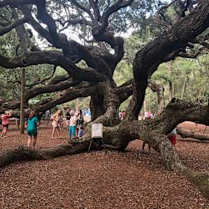 Charleston Fun Farm. A happy place