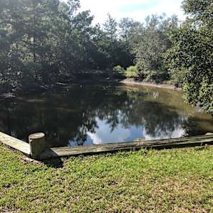 Charleston Fun Farm. A happy place