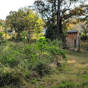 Finnegan’s Farm, West Yurt