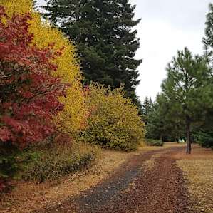 Mt Hood Haven