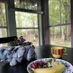 Cabin in the Woods
