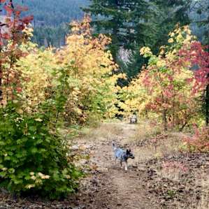 Walk down the path to see amazing views!