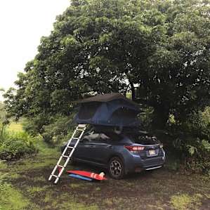 we were able to pop up our car camper tent right under this gorgeous tree in front of the house