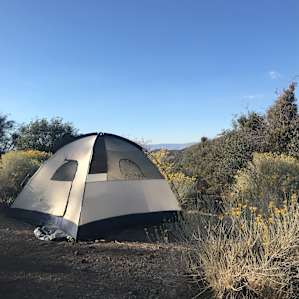 Mustang Ranch Large Groups Campsite